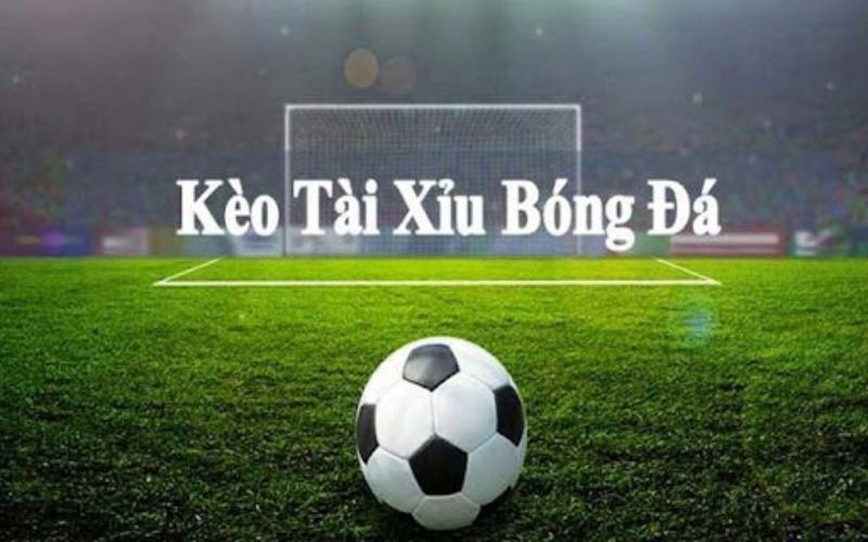 Tham gia kèo tài xỉu tại nhà cái 55win